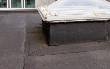 disadvantages of Chevithorne flat roofs